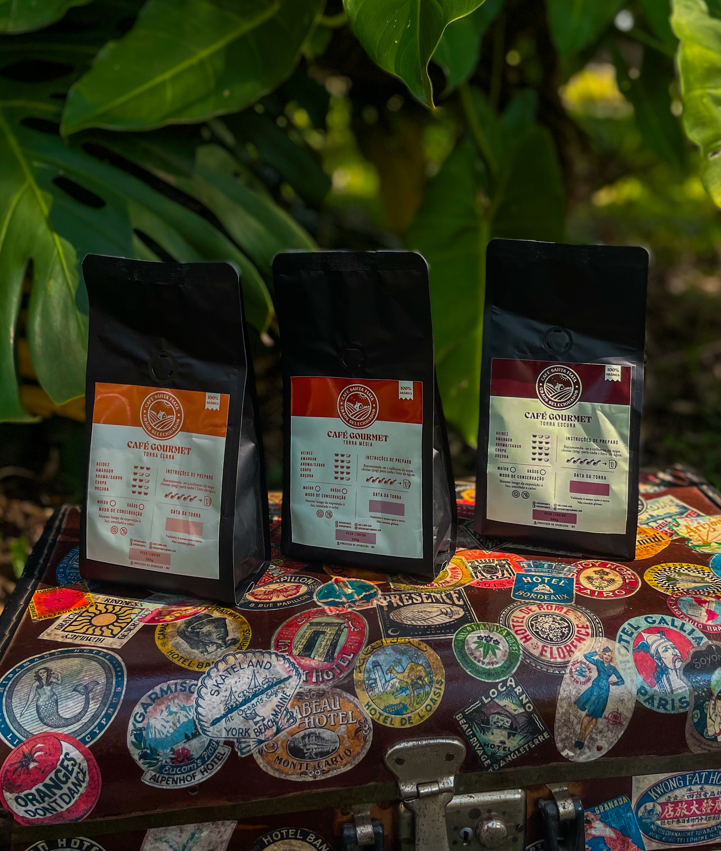 Kit Experimenta 250g - Todas torras