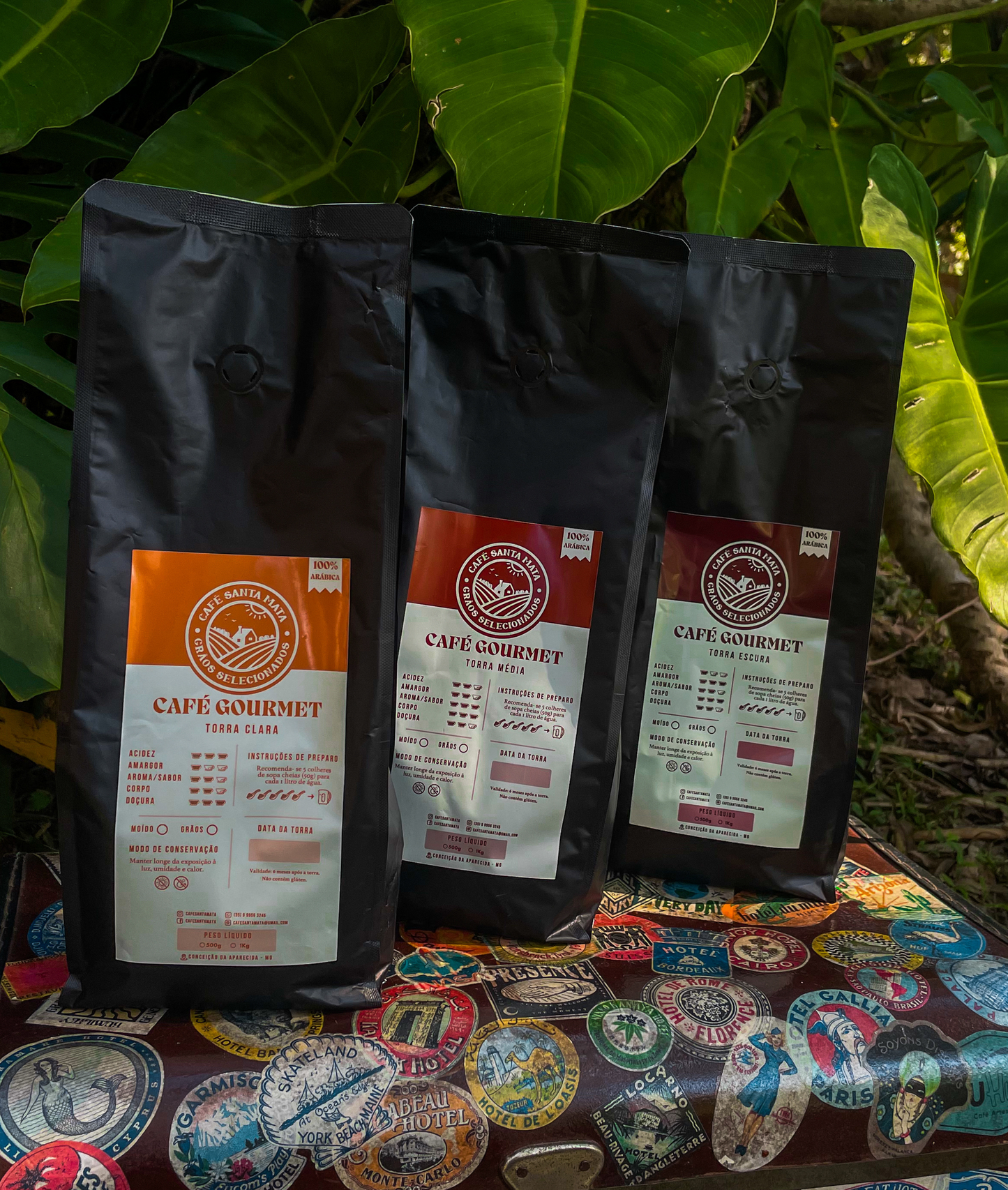 Kit Experimenta 1Kg - Todas Torras
