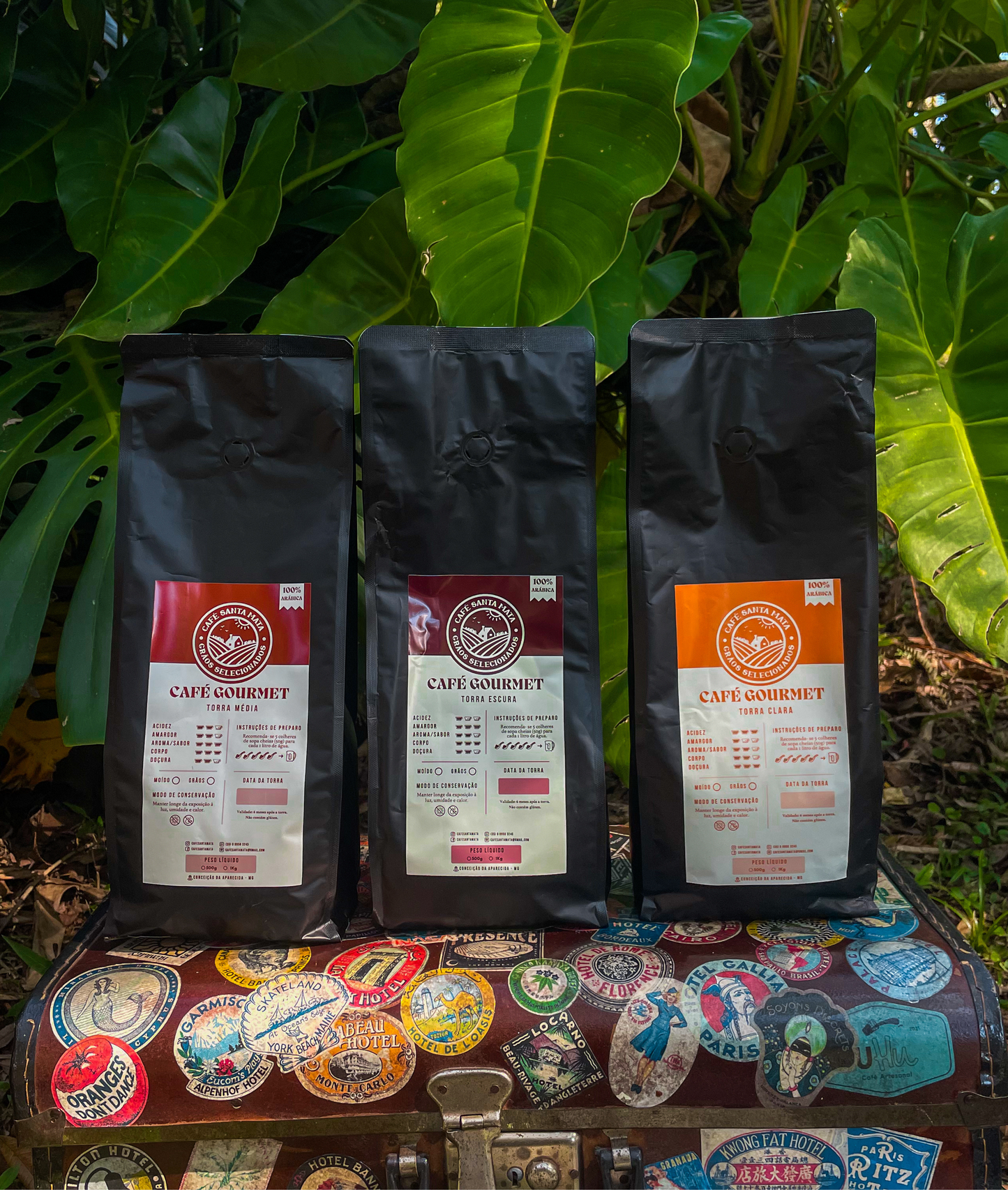 Kit Experimenta 1Kg - Todas Torras