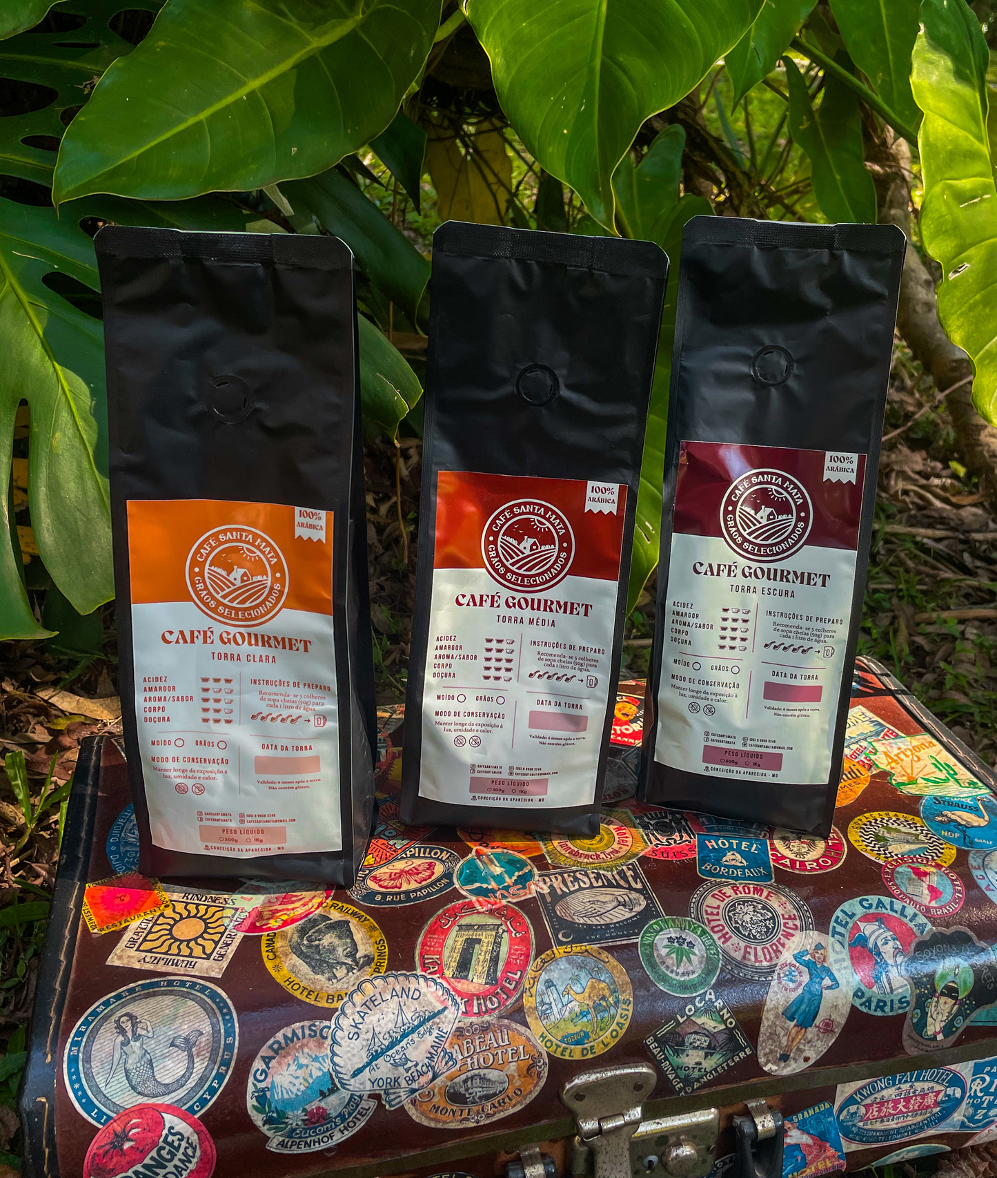 Kit Experimenta 500g - Todas Torras